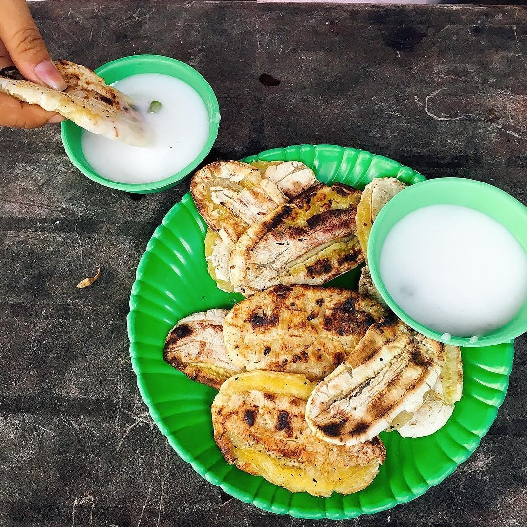 củ hũ dừa là gì ảnh 6 cu hu dua la gi anh 6