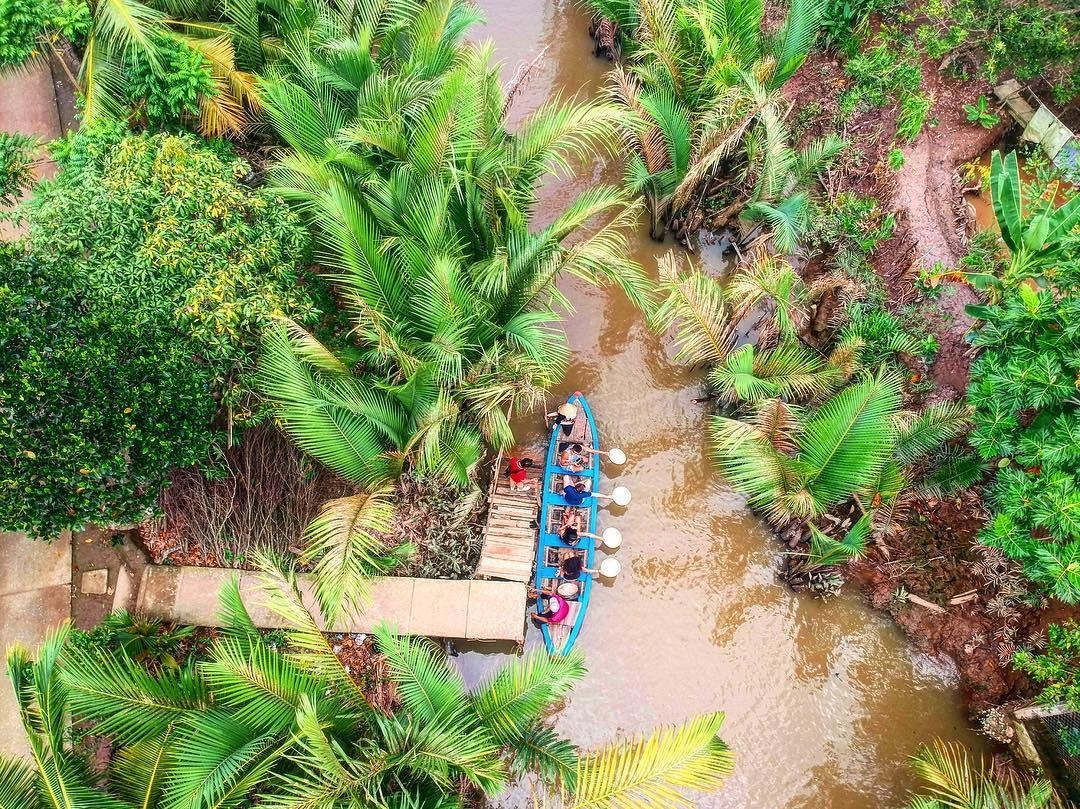 củ hũ dừa là gì ảnh 1 cu hu dua la gi anh 1