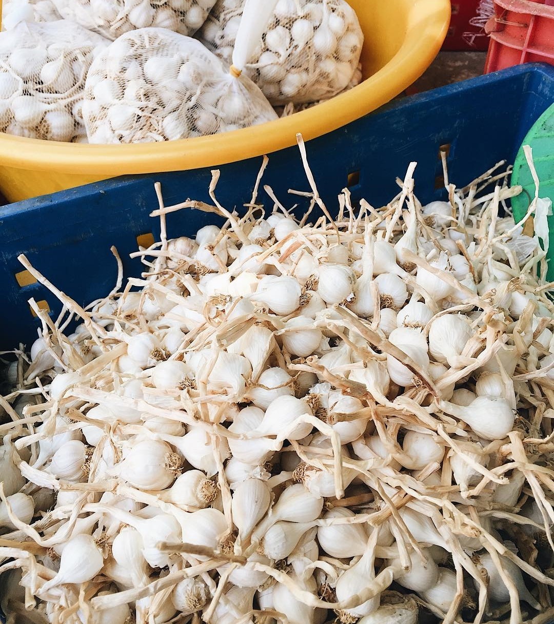 vuong quoc toi cua viet nam anh 2