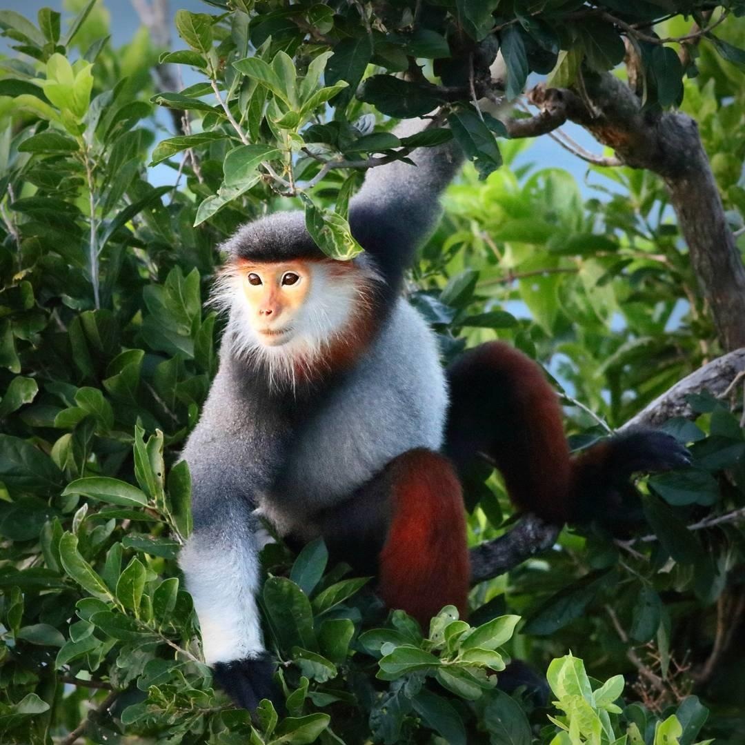 chua linh ung o da nang anh 3