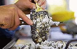 Mon an tu nam moc ngo ky la cua Mexico hinh anh