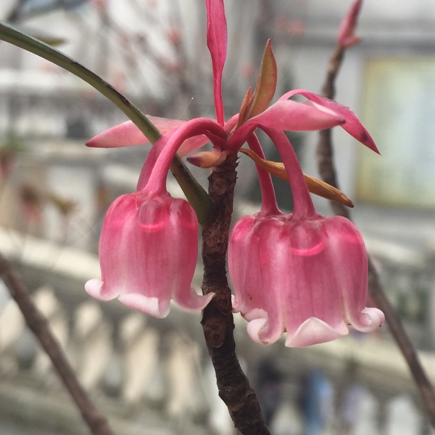 quan nao co ten dai nhat viet nam anh 4