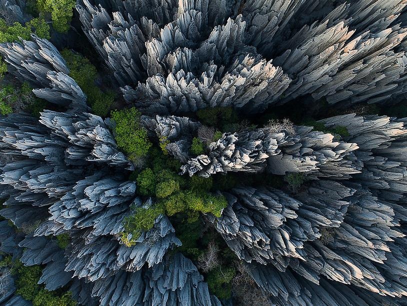 Rung da voi sac nhu dao cao 'khong the di chan tran' o Madagascar hinh anh