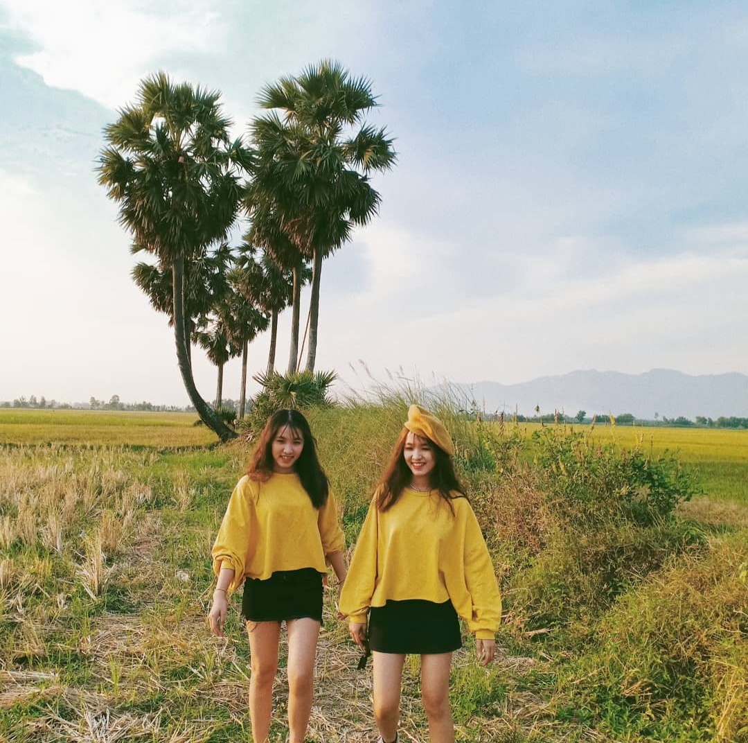 thốt nốt an giang ảnh 1 thot not an giang anh 1