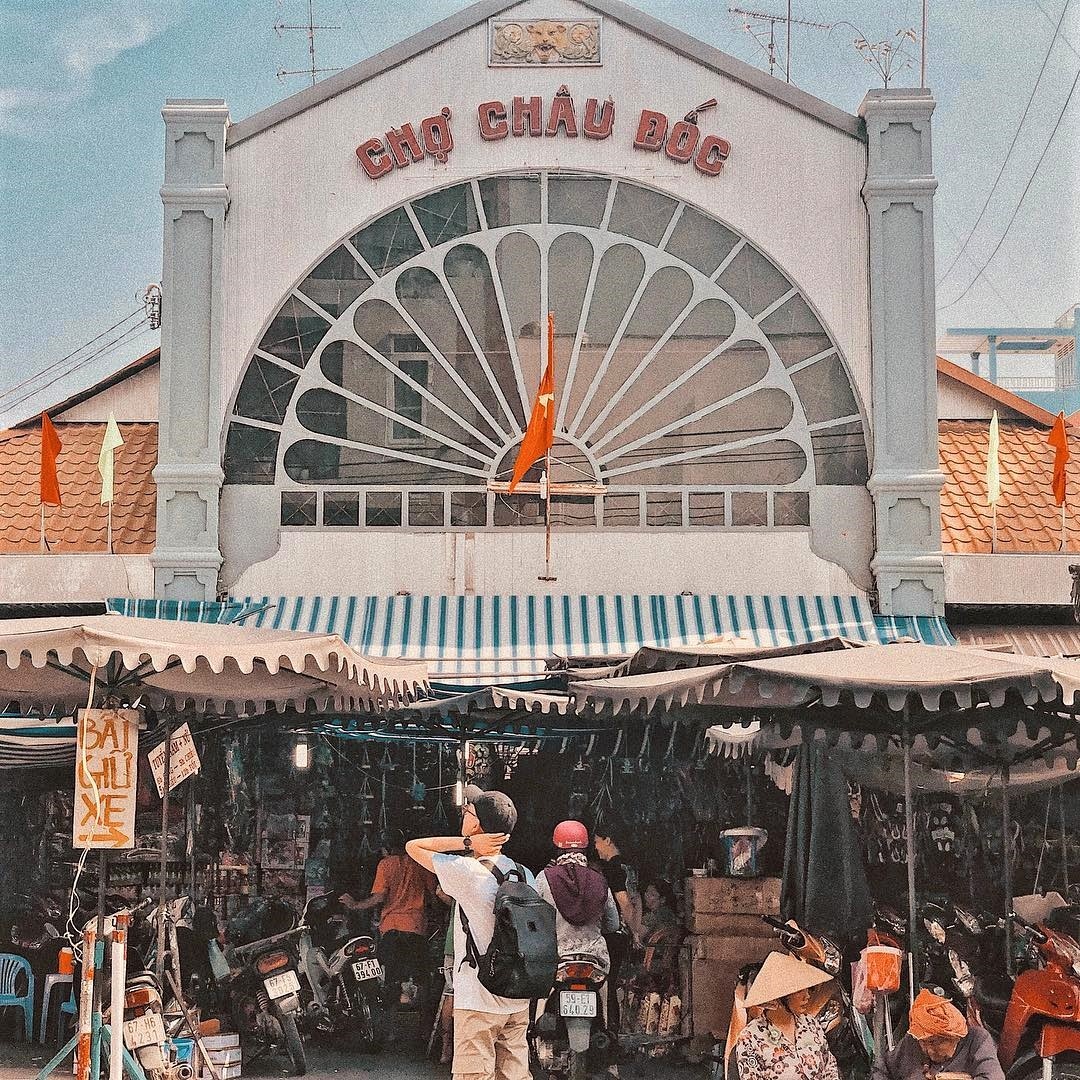 thốt nốt an giang ảnh 4 thot not an giang anh 4