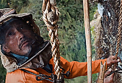 Du vach nui lay mat ong 'bat chap tu than' o Nepal hinh anh