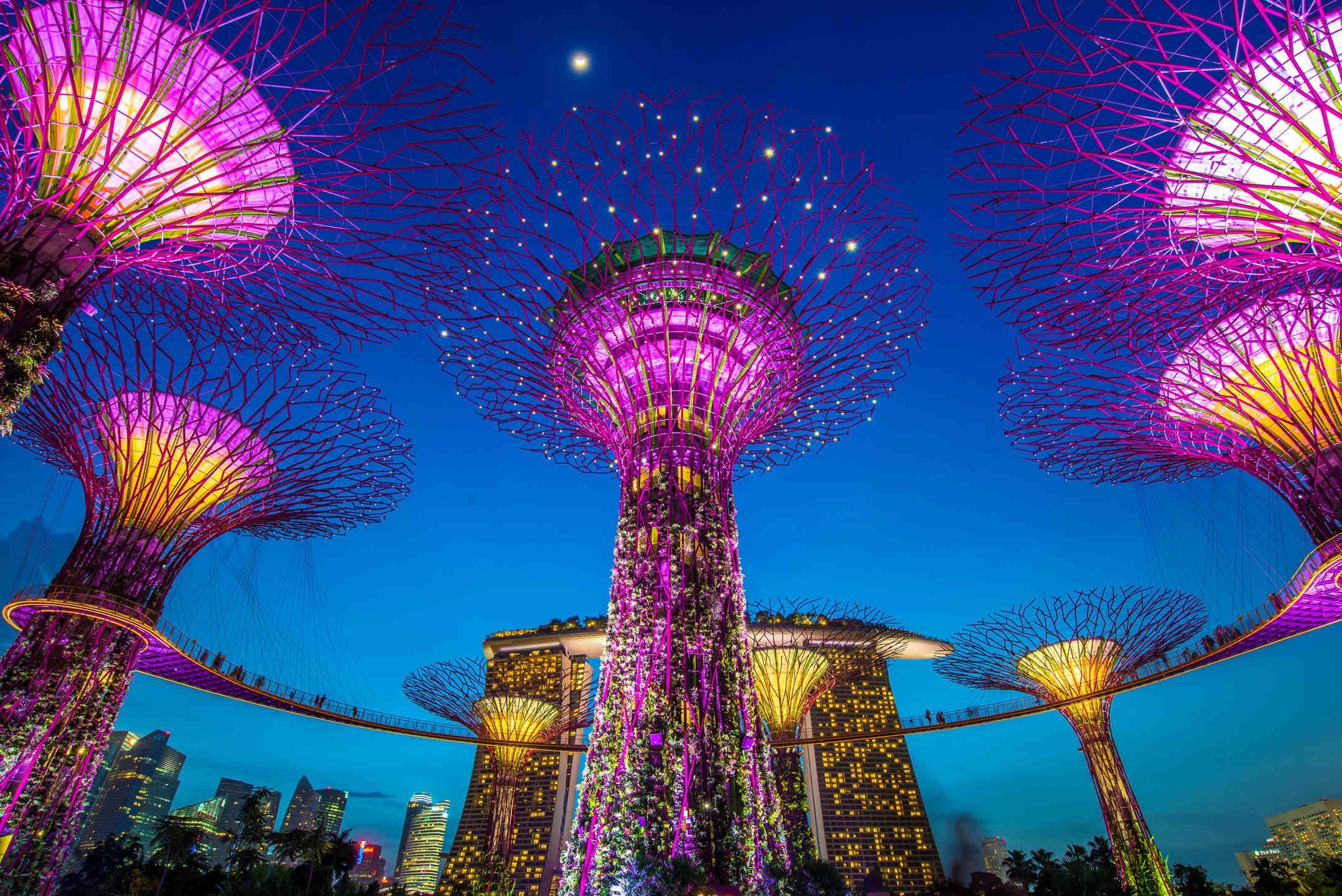 tại sao gọi singapore là đảo quốc sư tử ảnh 5 tai sao goi singapore la dao quoc su tu anh 5