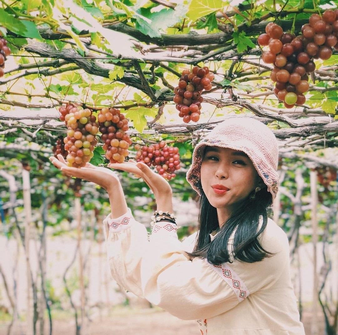 le hoi nho va vang ninh thuan 2019 anh 1