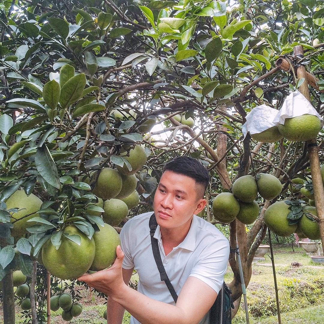 van mieu tran bien nam o dau anh 7