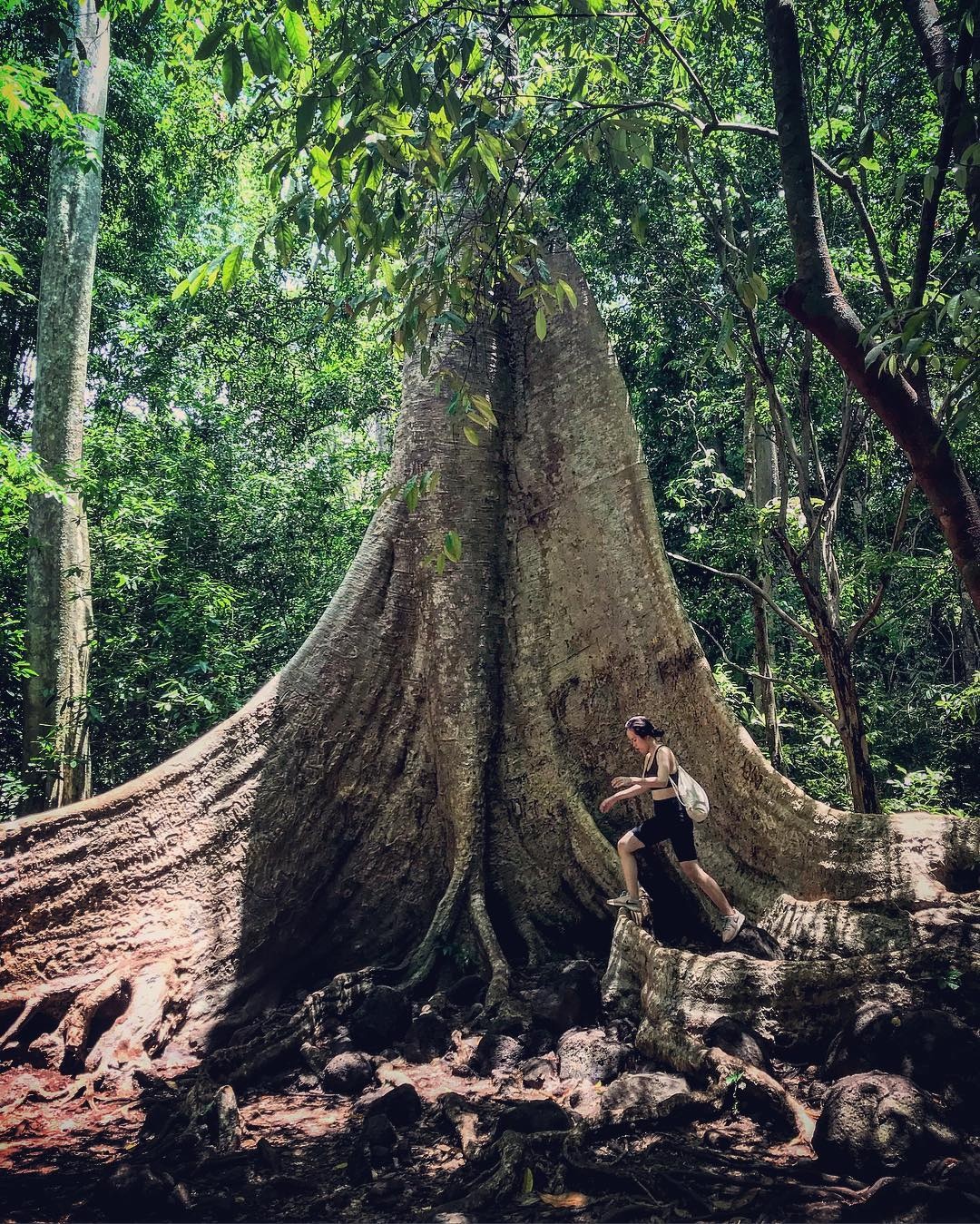 van mieu tran bien nam o dau anh 5