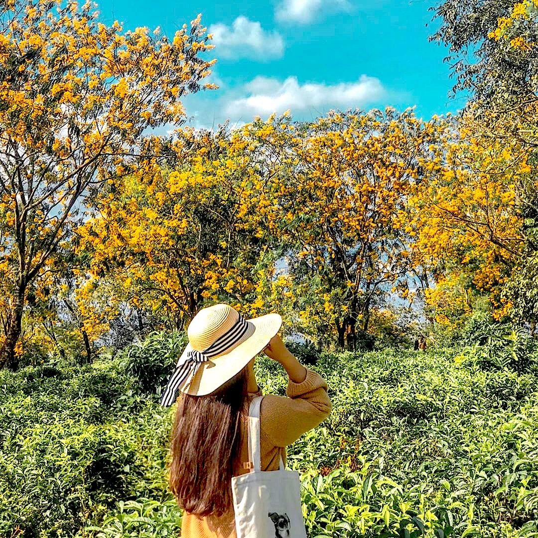 muong vang gia lai anh 2