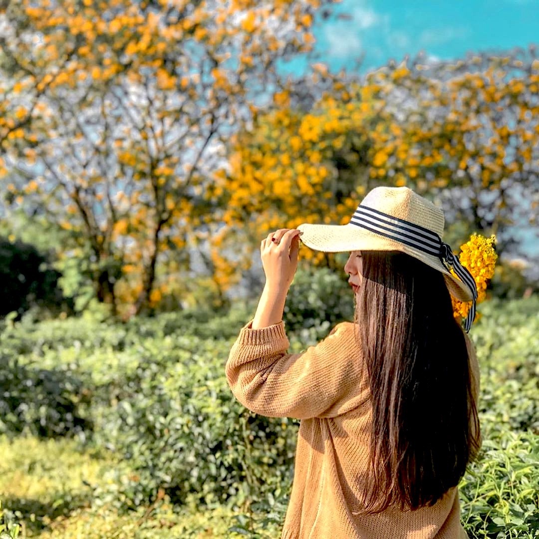 muong vang gia lai anh 1