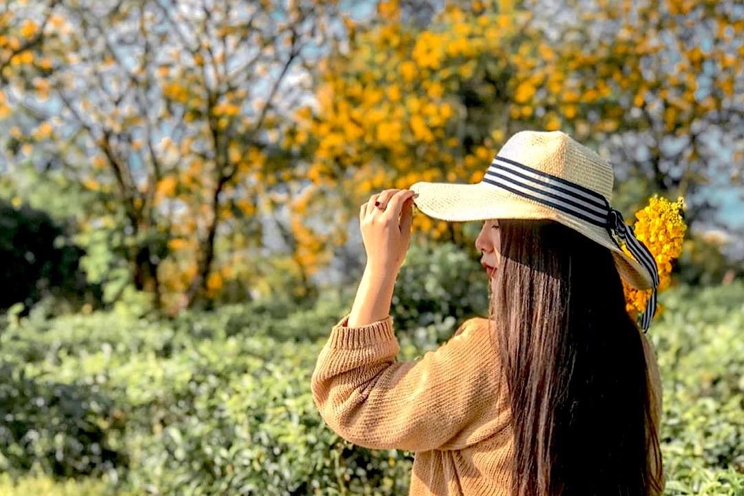 Huyen nao o Gia Lai co nhieu hoa muong vang? hinh anh