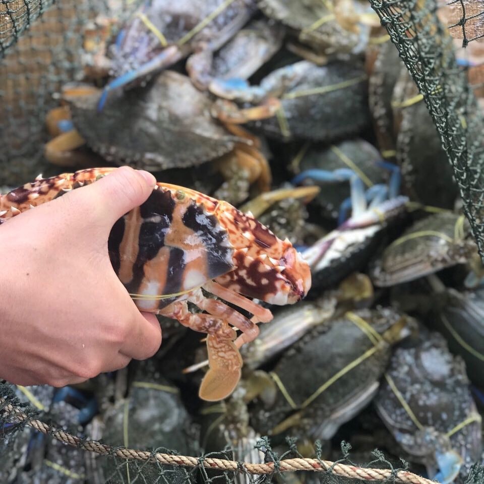 lang chai ham ninh phu quoc anh 2