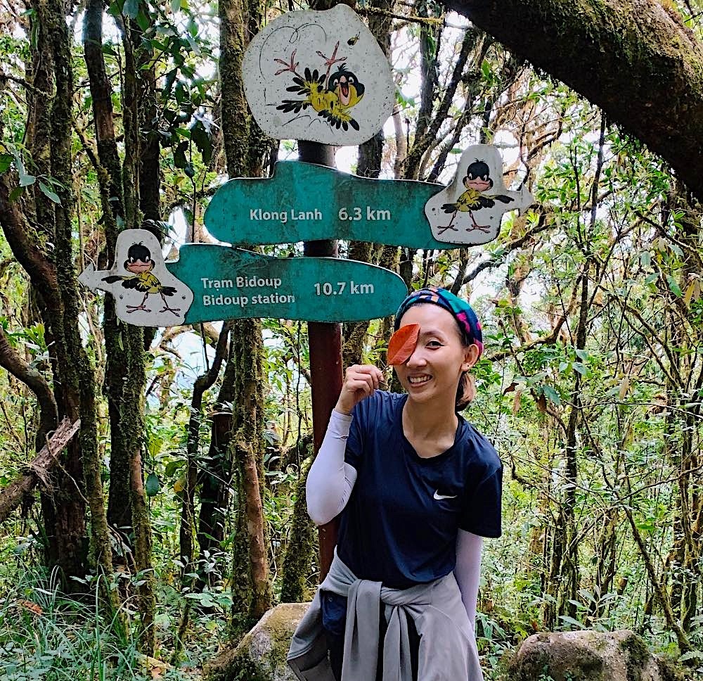 cỏ hồng đà lạt ảnh 6 co hong da lat anh 6