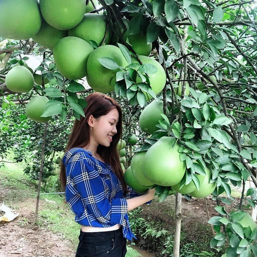 buoi tan trieu anh 1