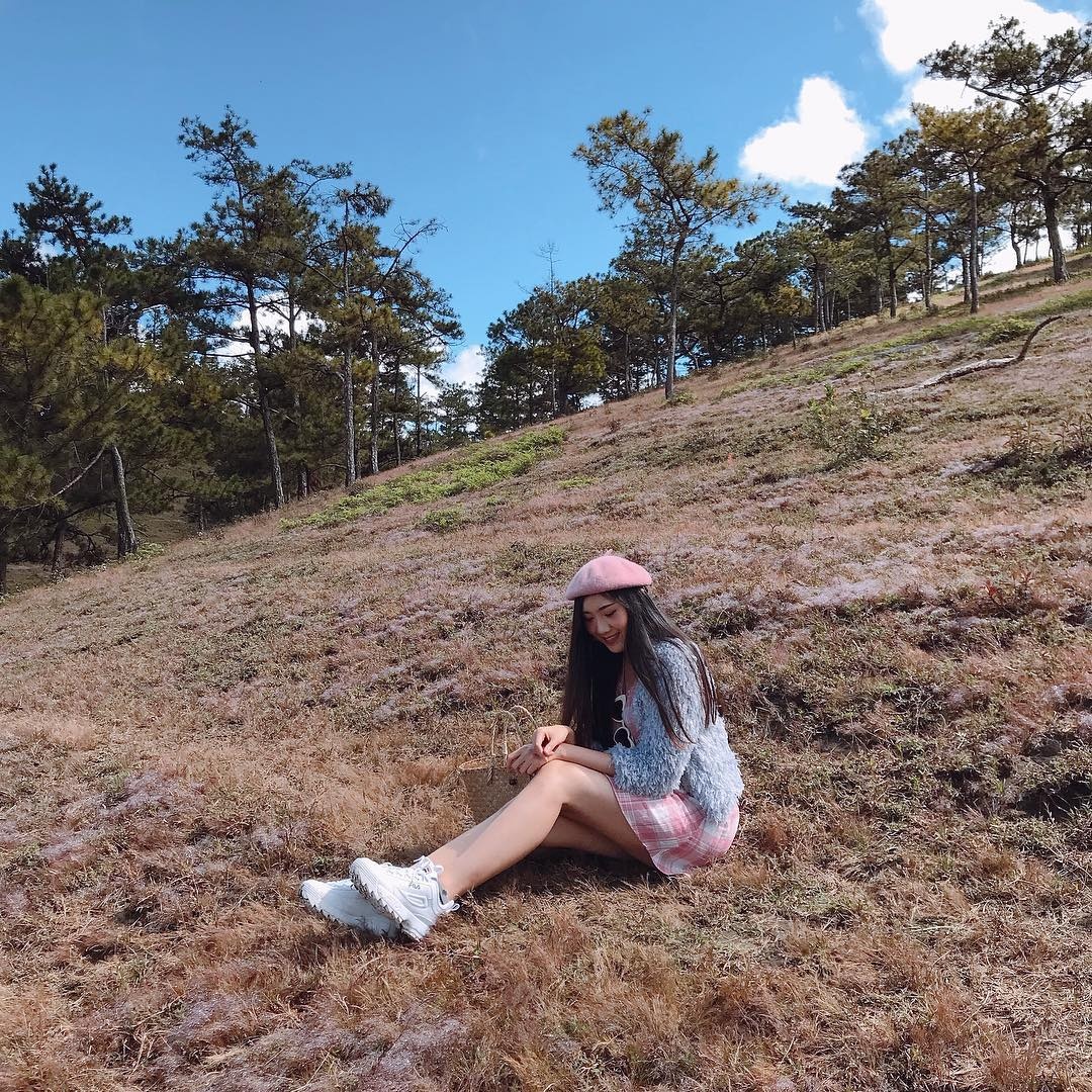 cỏ hồng đà lạt ảnh 4 co hong da lat anh 4