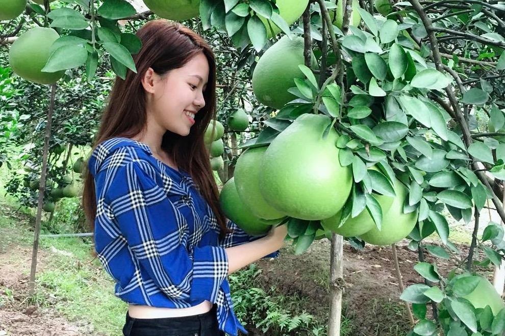 Buoi Tan Trieu la dac san noi tieng cua tinh nao? hinh anh