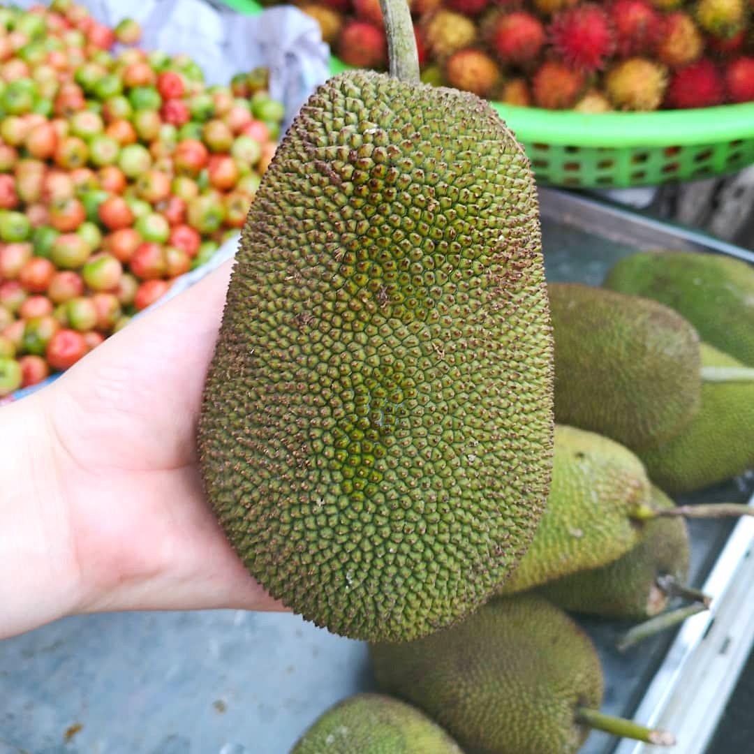 gỏi măng cụt bình dương ảnh 4 goi mang cut binh duong anh 4