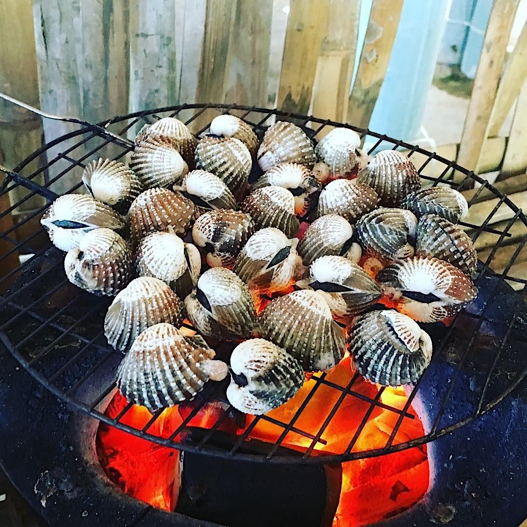 dam o loan phu yen anh 2