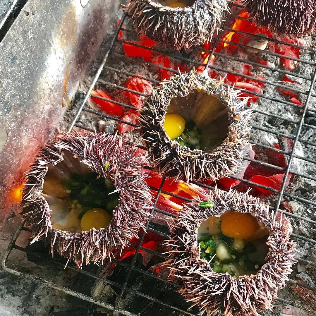 dam o loan phu yen anh 5