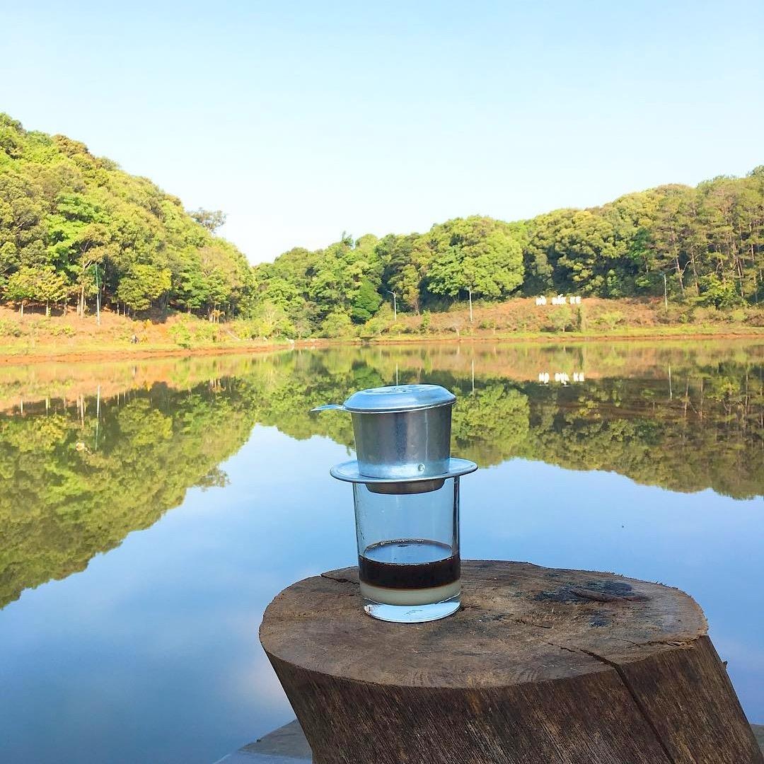 bánh tráng cá cơm ảnh 7 banh trang ca com anh 7