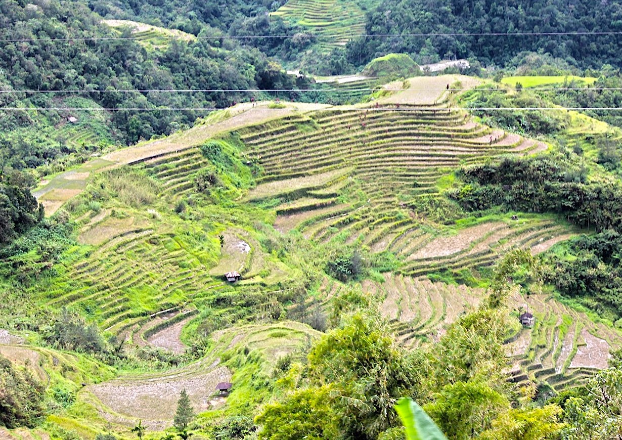 ruộng bậc thang philippines ảnh 4 ruong bac thang philippines anh 4