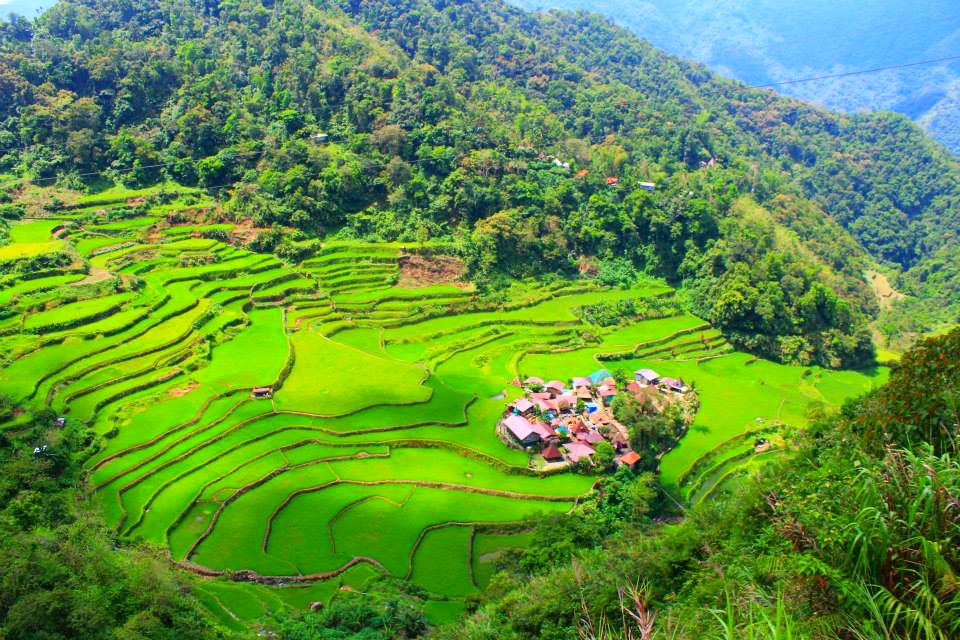 ruộng bậc thang philippines ảnh 6 ruong bac thang philippines anh 6