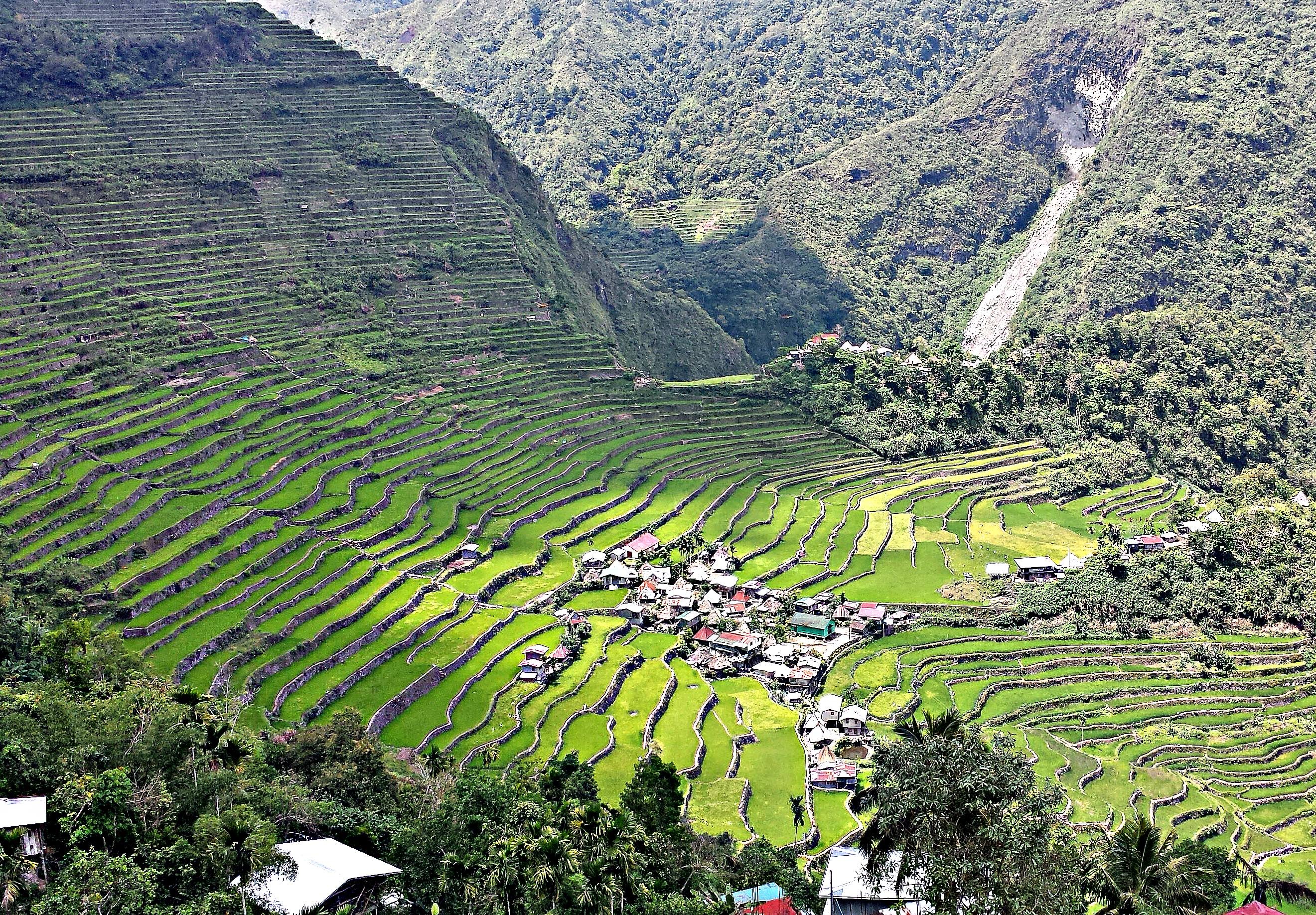 ruộng bậc thang philippines ảnh 7 ruong bac thang philippines anh 7