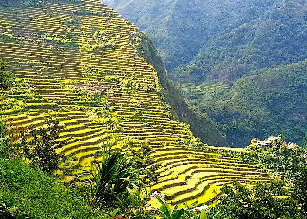 ruộng bậc thang philippines ảnh 1 ruong bac thang philippines anh 1