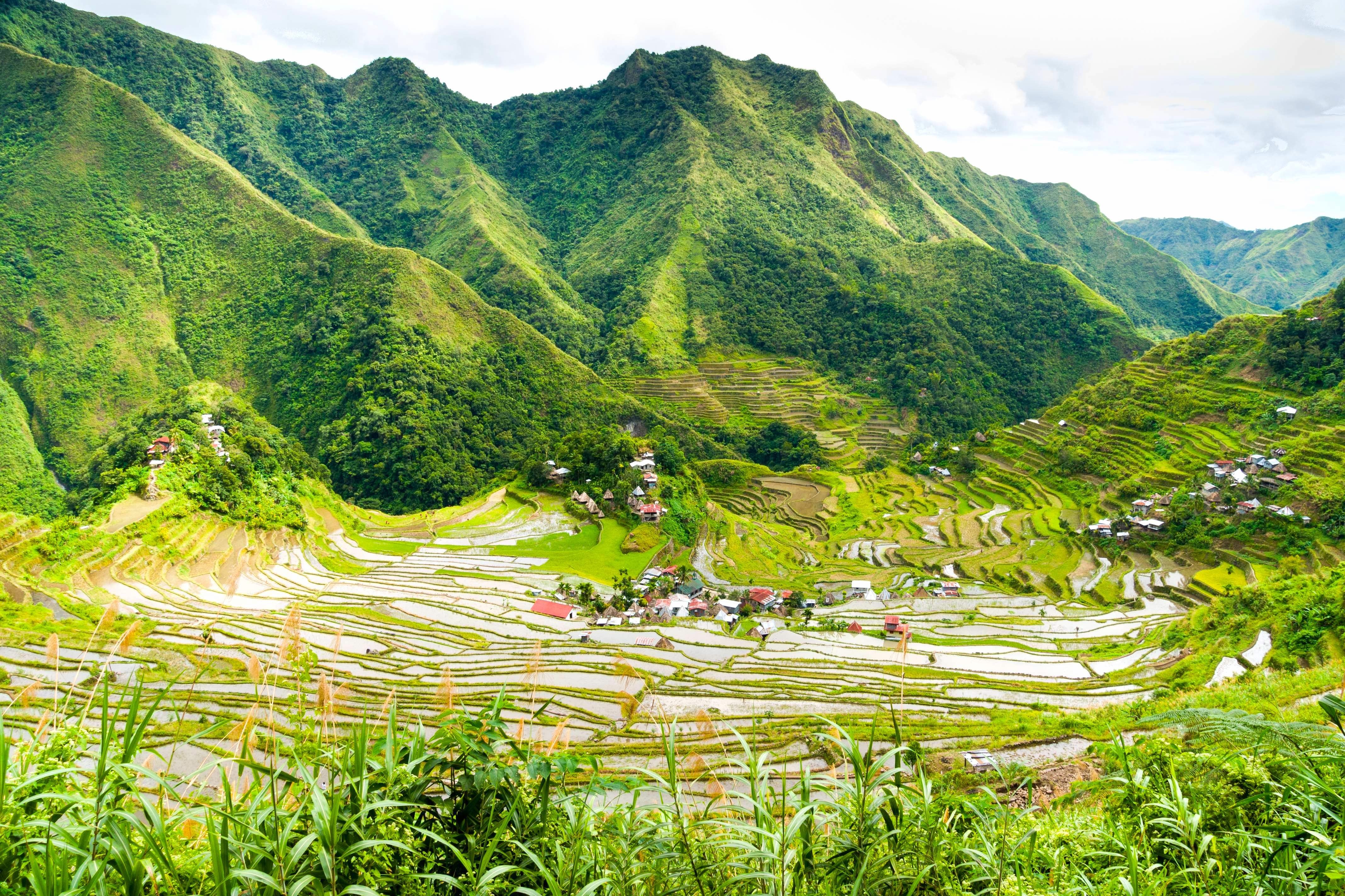 ruộng bậc thang philippines ảnh 2 ruong bac thang philippines anh 2
