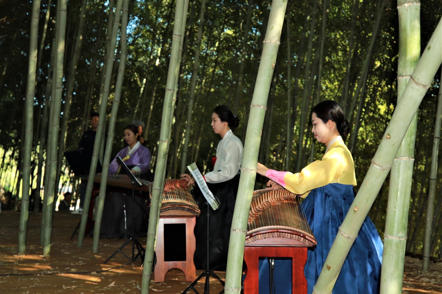 quê hương park hang seo ảnh 3 que huong park hang seo anh 3