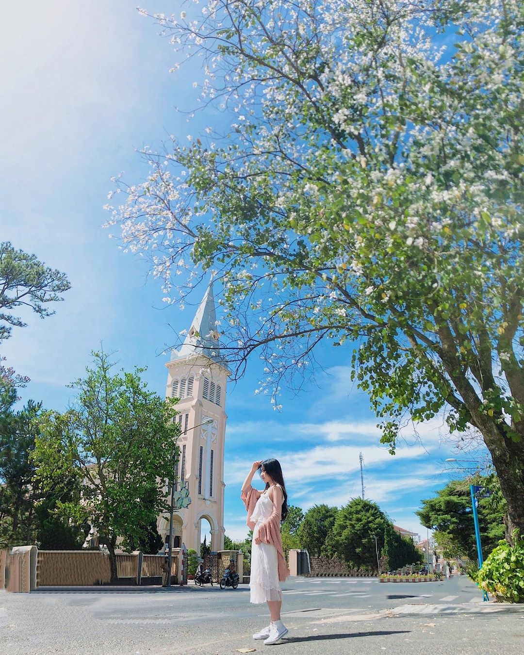 mai anh dao da lat anh 2