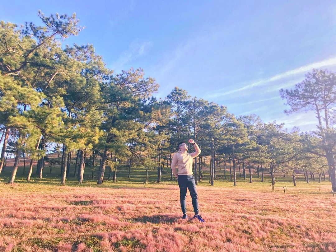 mai anh dao da lat anh 7