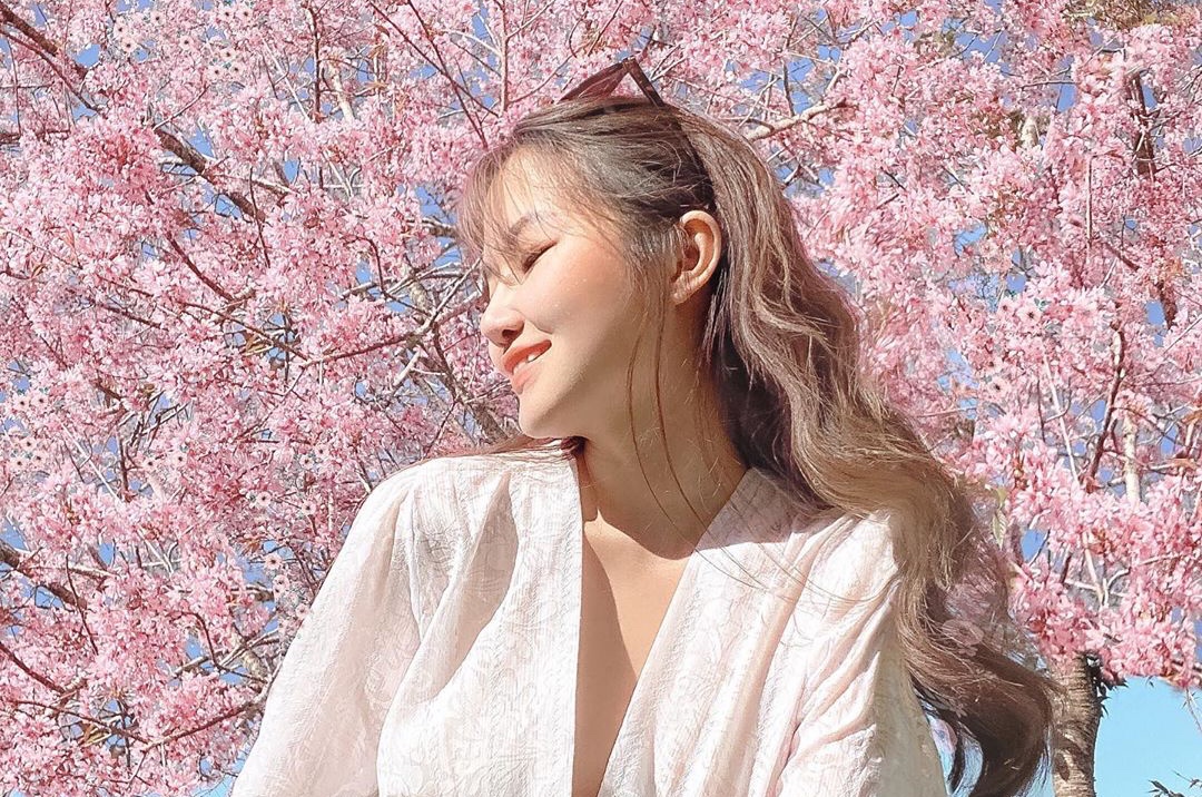 Mai anh dao va nhung mua hoa trong nam o Da Lat hinh anh