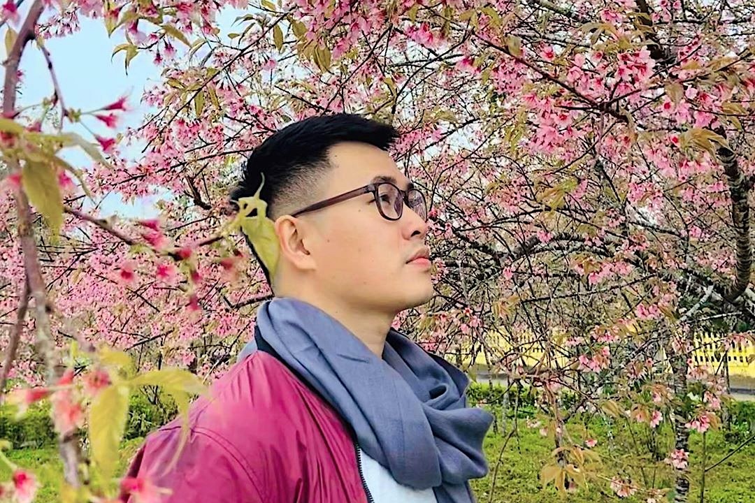Noi co nhieu mai anh dao o Kon Tum hinh anh