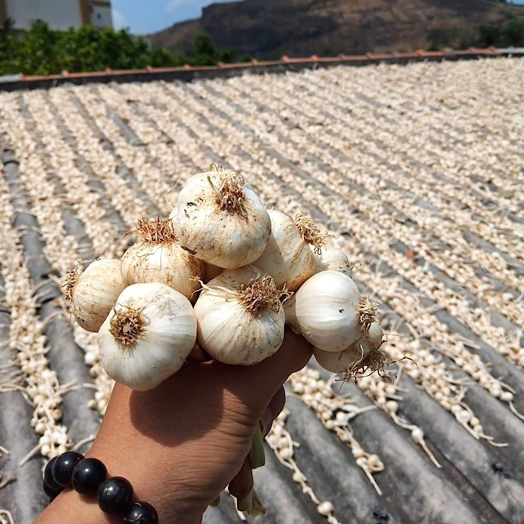 dac san bien dao anh 5