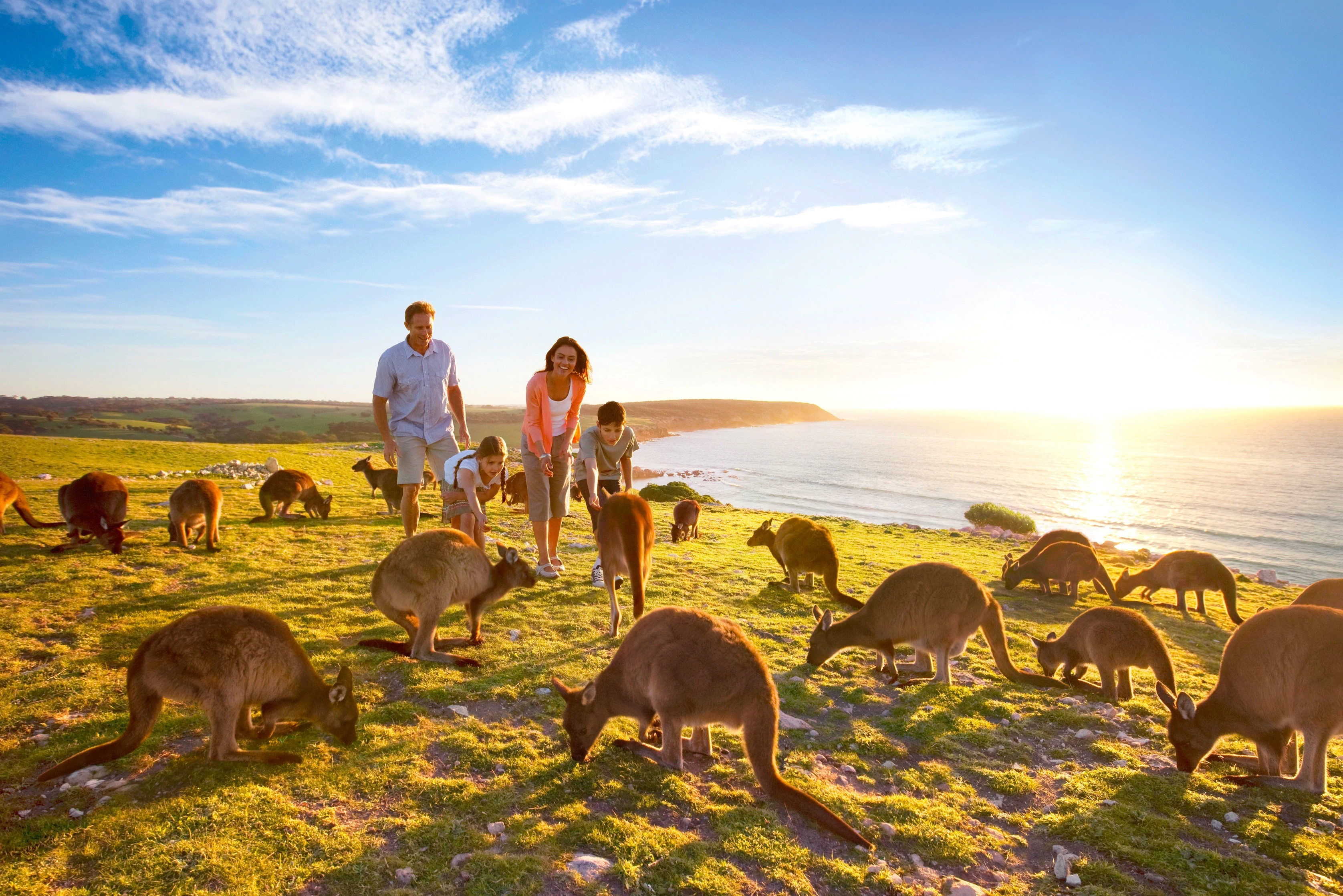 Cac dia diem tren dao Kangaroo phai dong cua vi tham hoa chay rung hinh anh