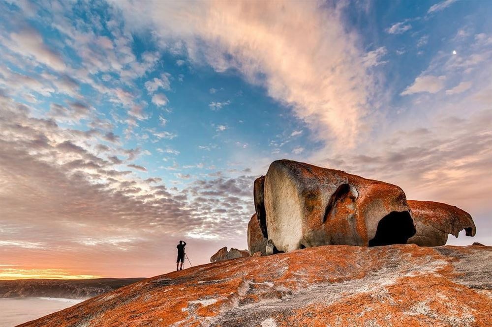 cháy rừng australia ảnh 5 chay rung australia anh 5