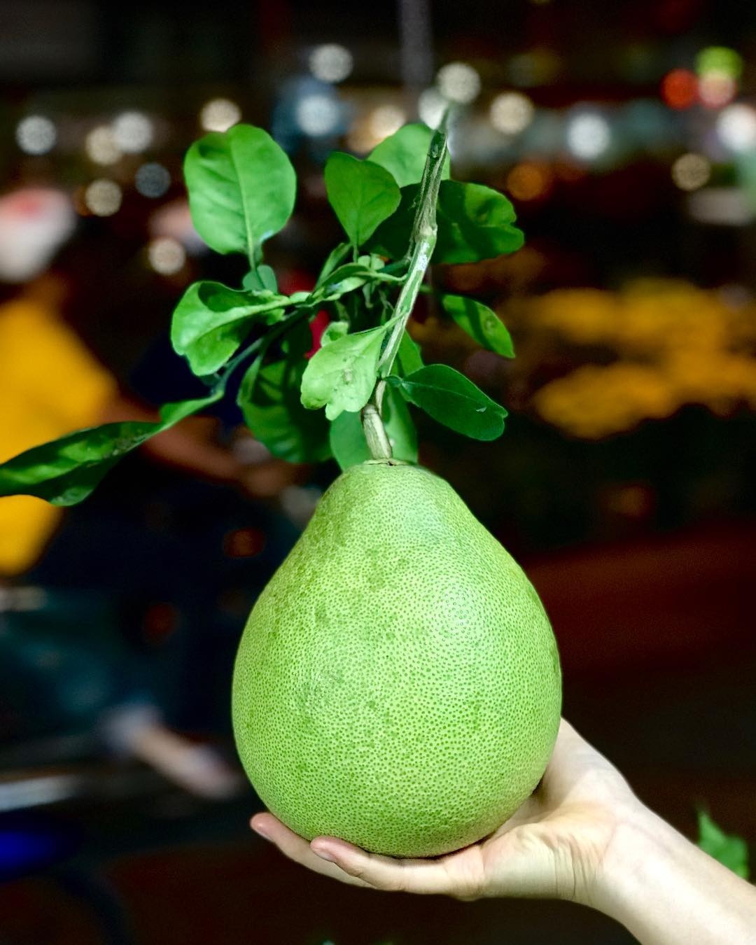 dac san trai cay mien tay anh 1