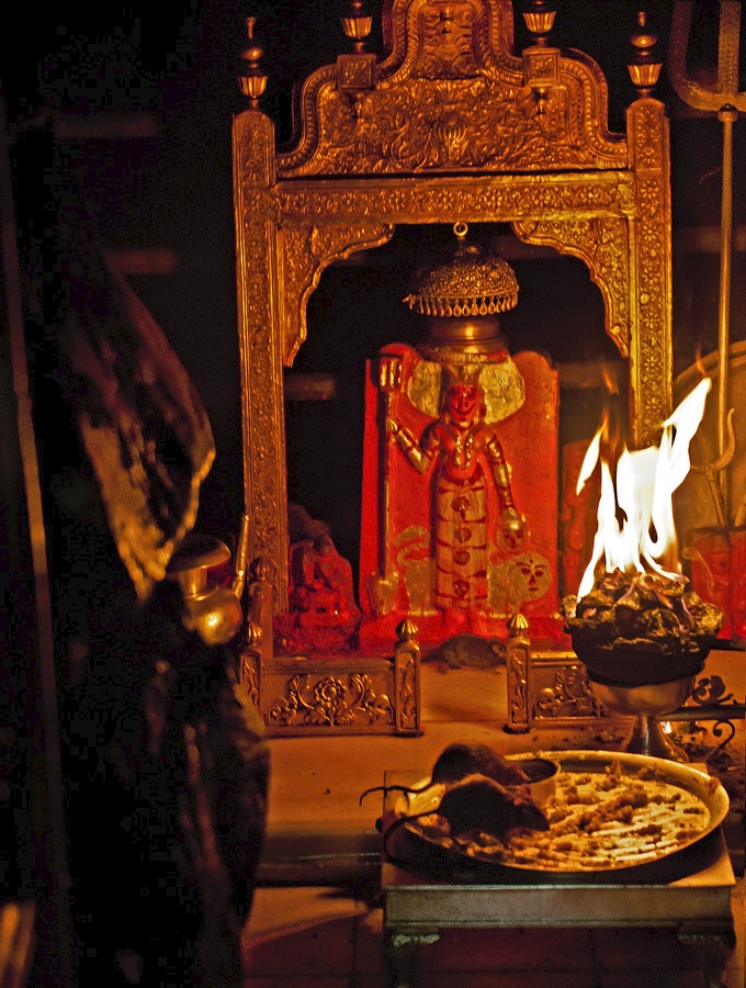 den chuot o an do anh 1