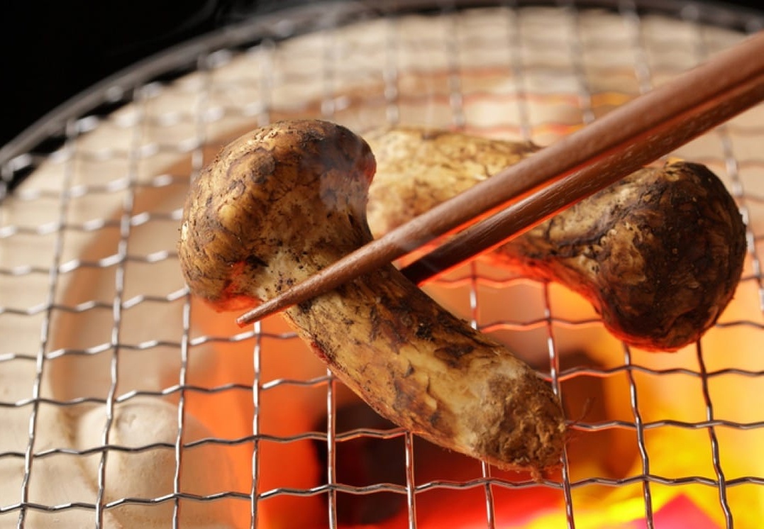 dac san theo mua anh 4