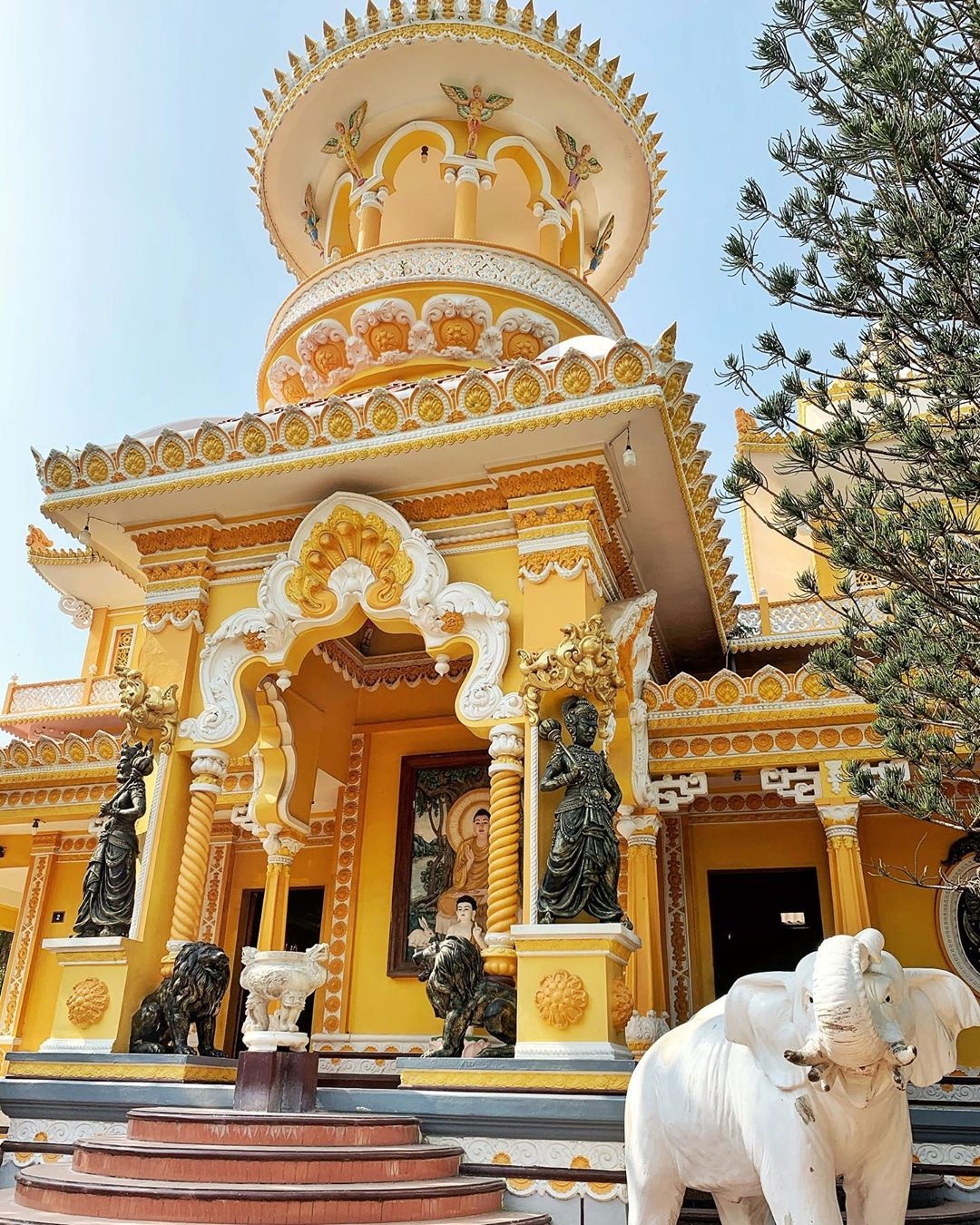 du xuân đầu năm ảnh 2 du xuan dau nam anh 2