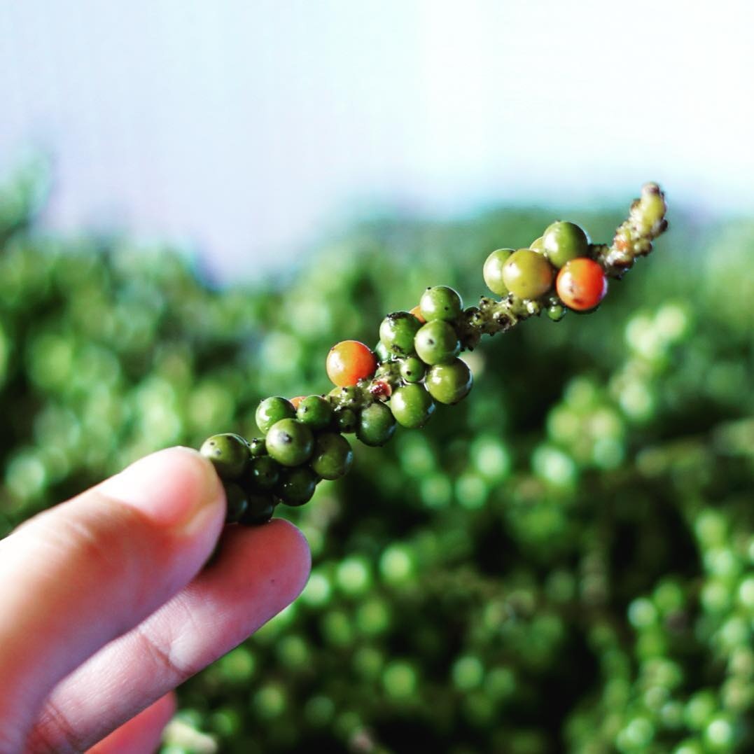 dac san tet mien tay anh 4