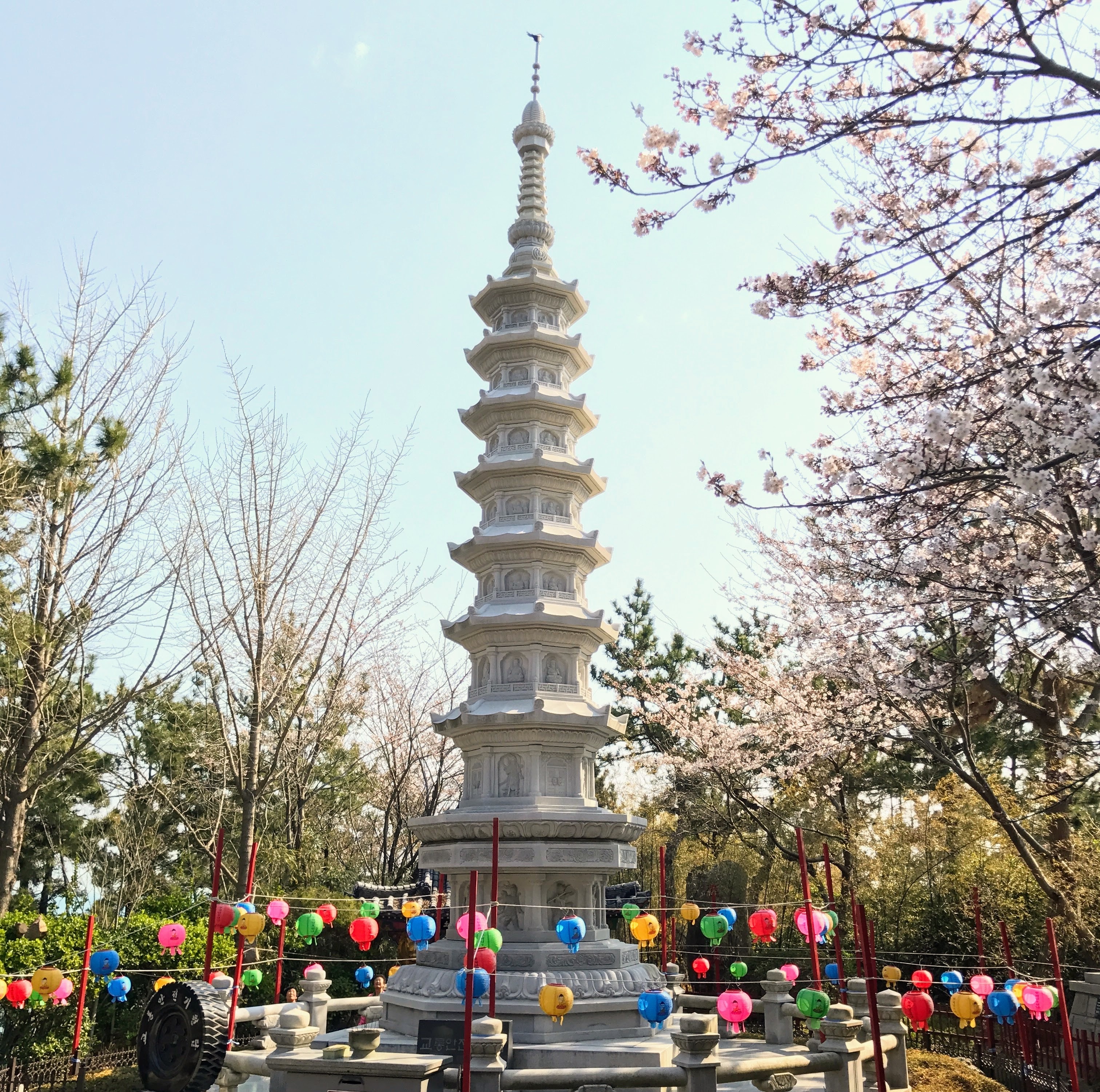 di chua dau nam anh 3