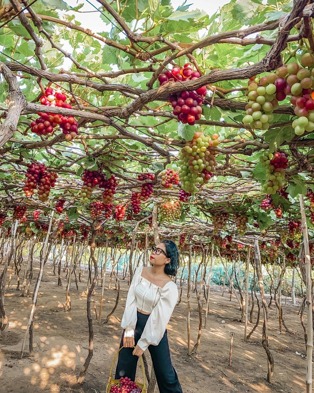 sản vật nổi tiếng ảnh 3 san vat noi tieng anh 3