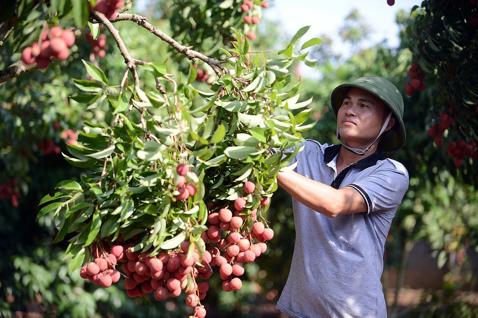 san vat noi tieng anh 2