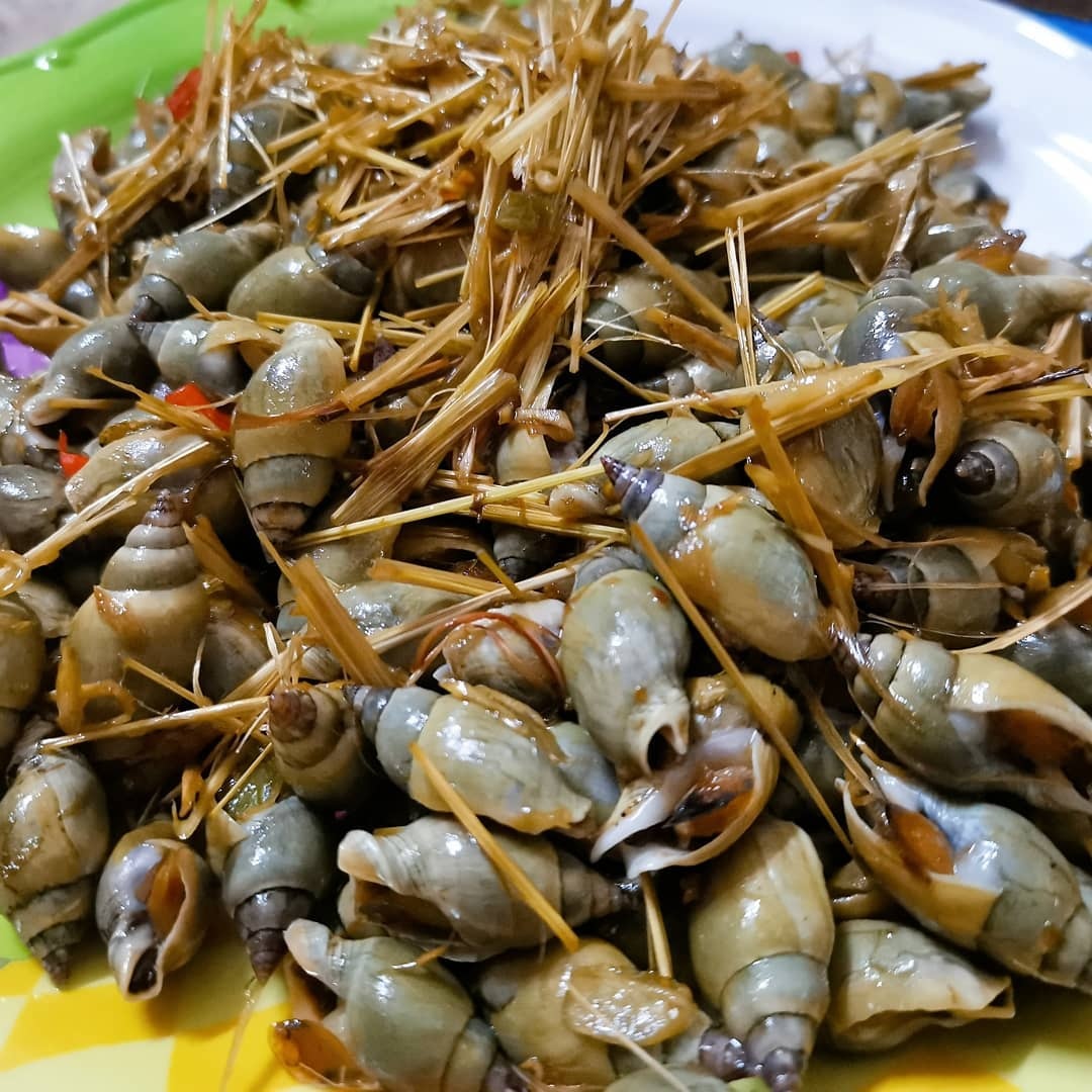 phan biet cac loai oc anh 2