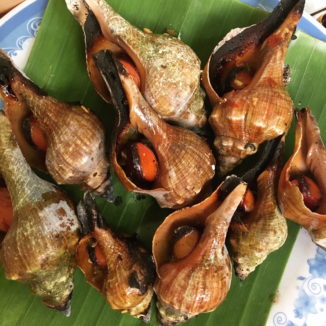 phan biet cac loai oc anh 7