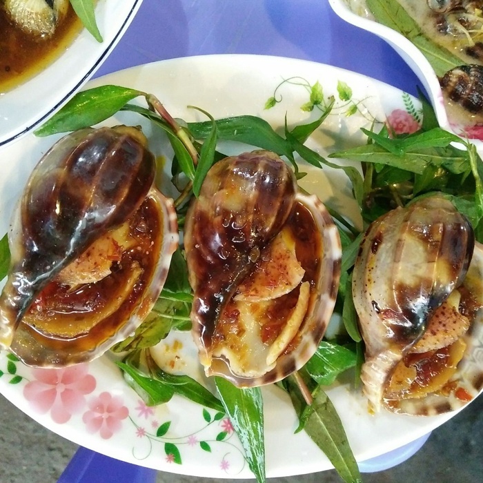 phan biet cac loai oc anh 4